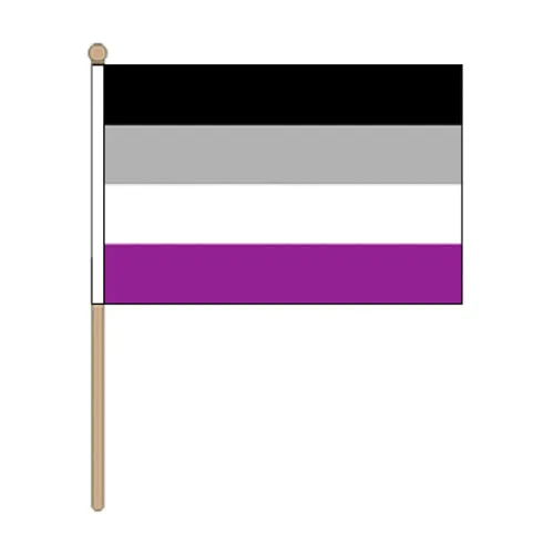 Asexual Pride Hand Held Flag (22.5cm x 15cm)