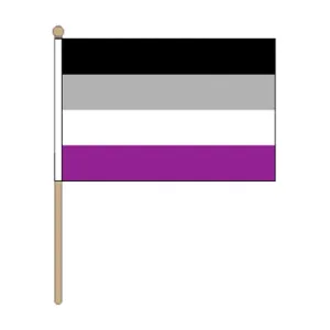 Asexual Pride Hand Held Flag (22.5cm x 15cm)