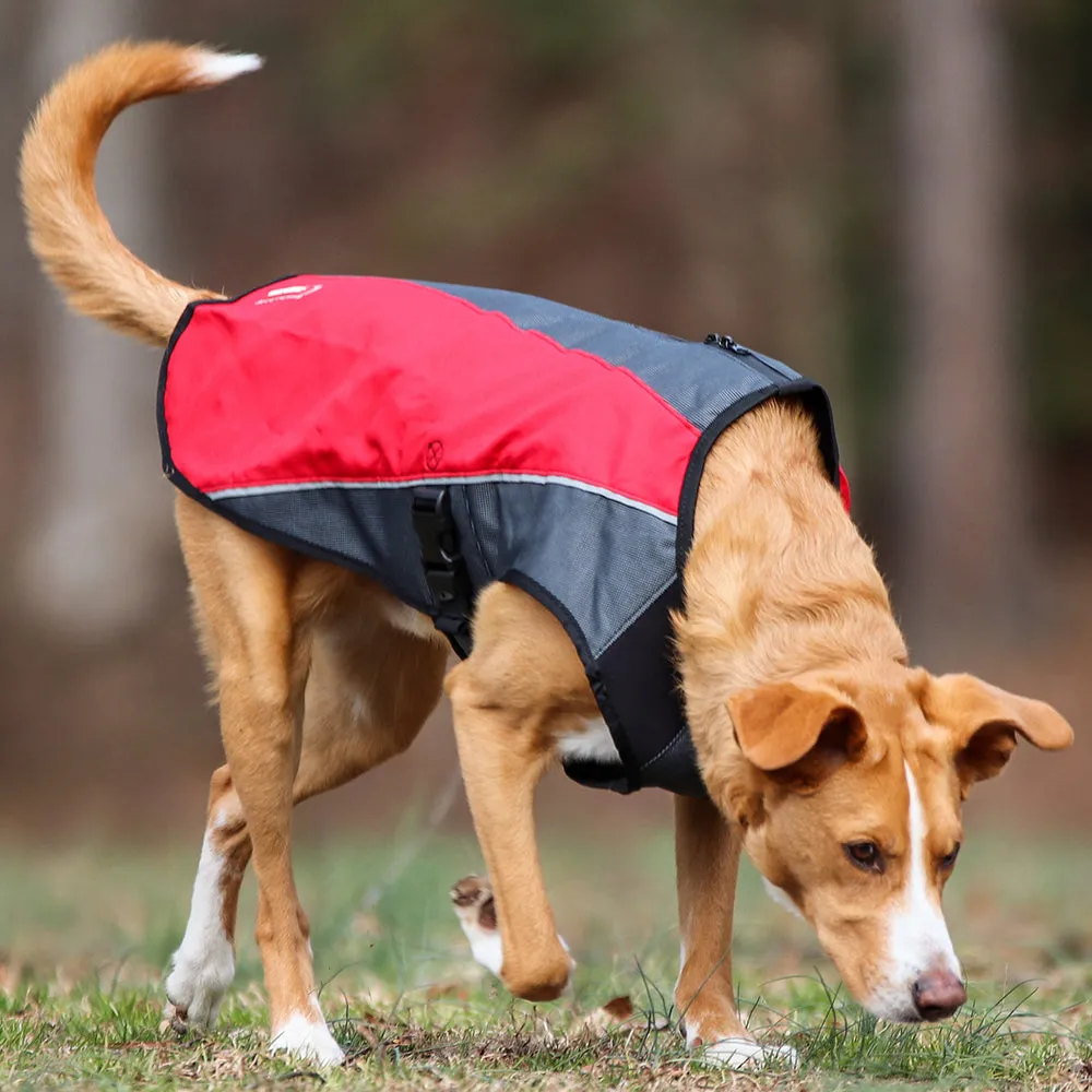 EzyDog Element Jacket - Orange XXL (Customer Return)