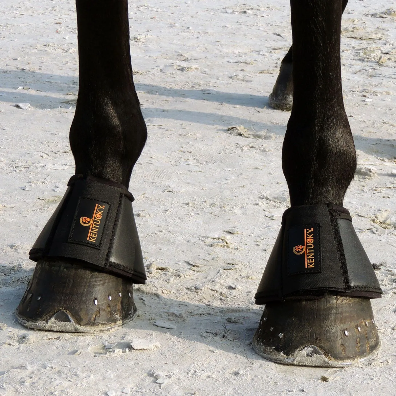 Kentucky Horsewear Leather Overreach Boots - Black