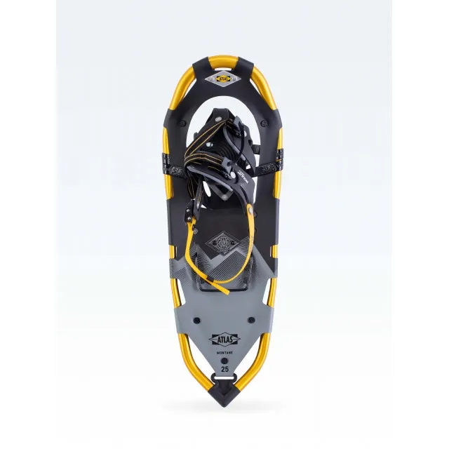 Montane