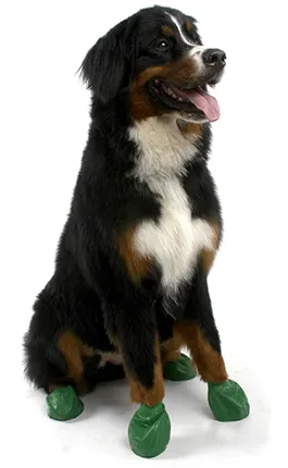 PawZ Disposable Dog Boots, Extra-Large