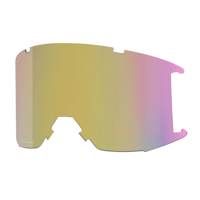 Smith Squad XL Goggles 2024