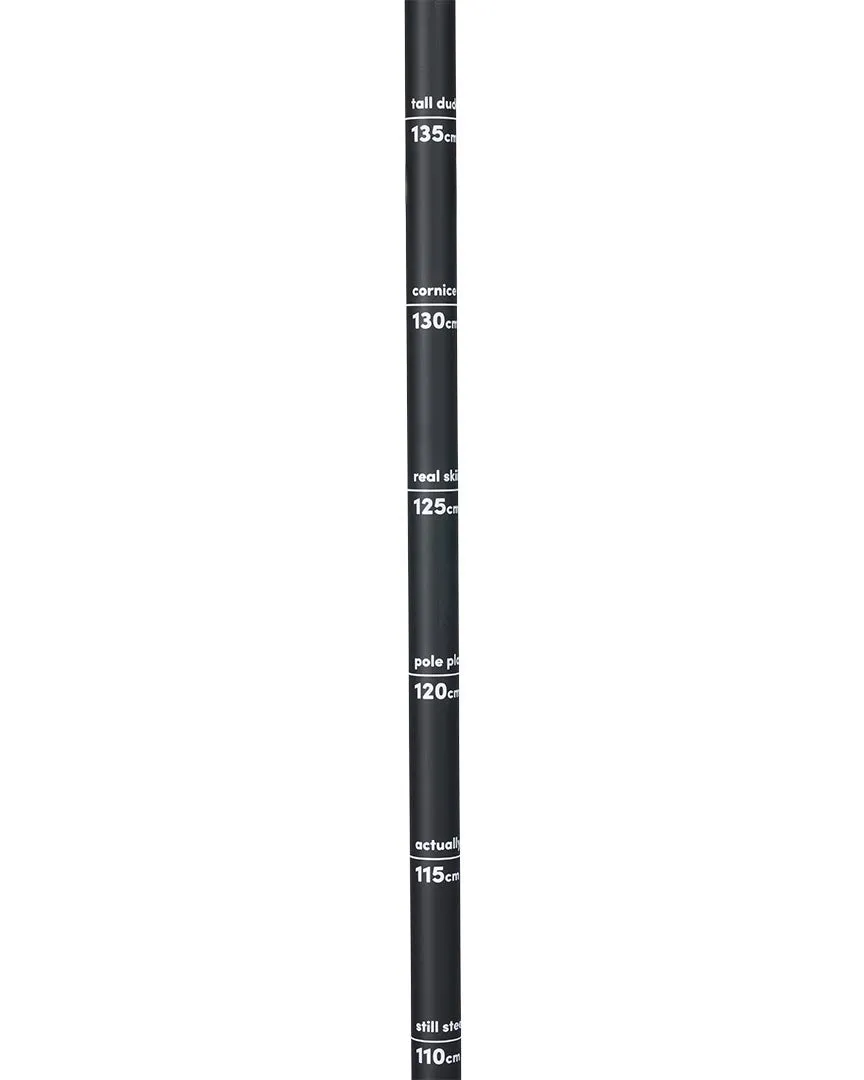 Vision Ski Poles - Black
