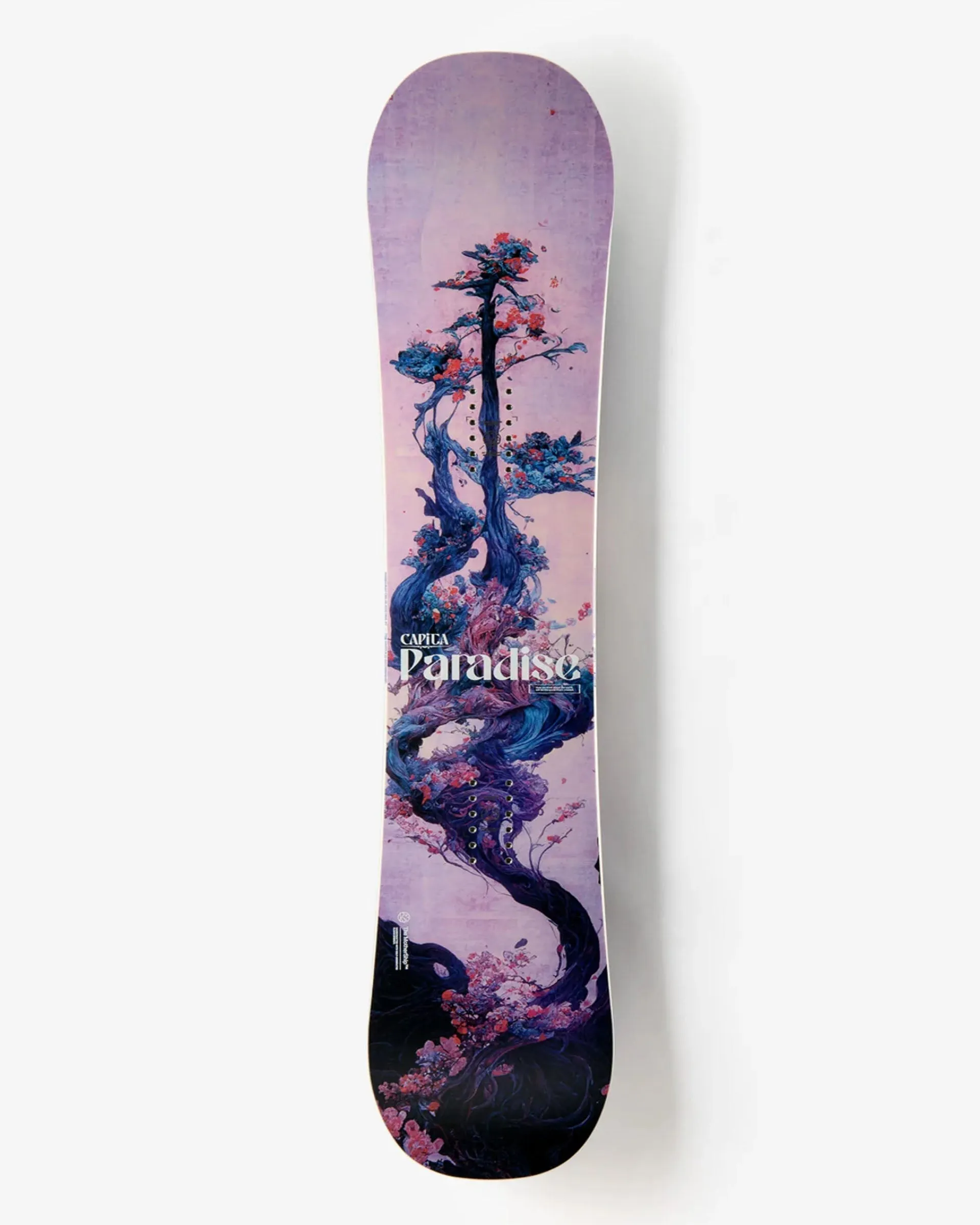 Women's Paradise Snowboards